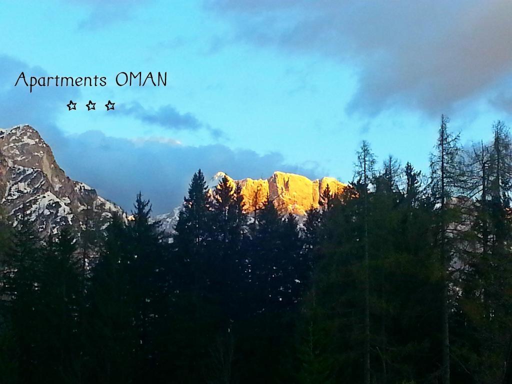 Apartments Oman 크라니스카고라 객실 사진
